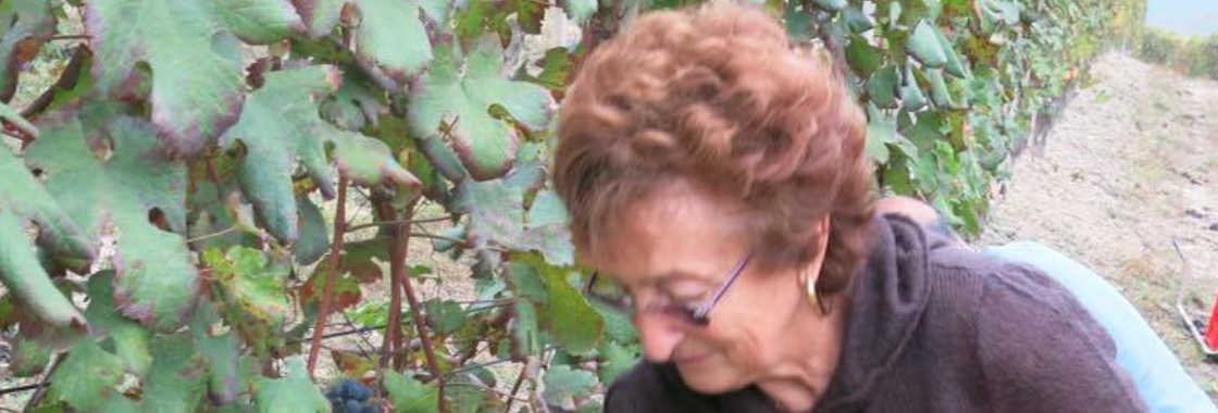 リヴェッラ・セラフィー