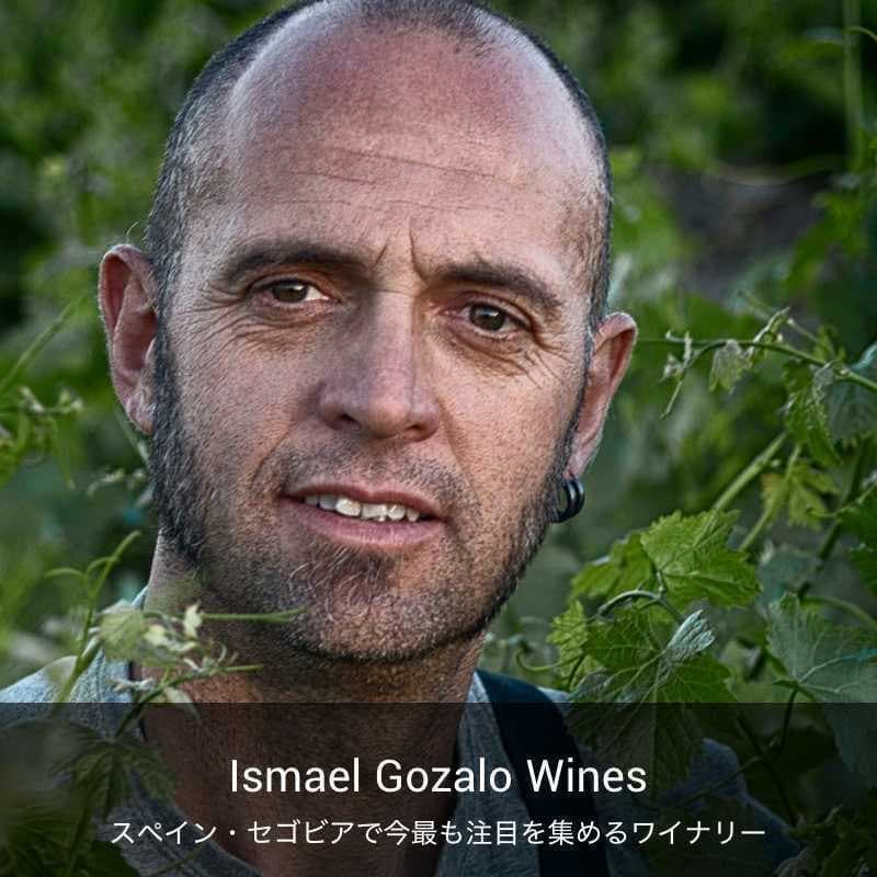 イスマエル・ゴザロ・ワイン