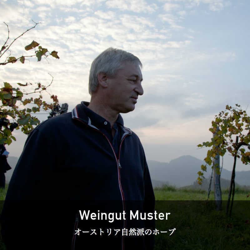 セップ・ムスター