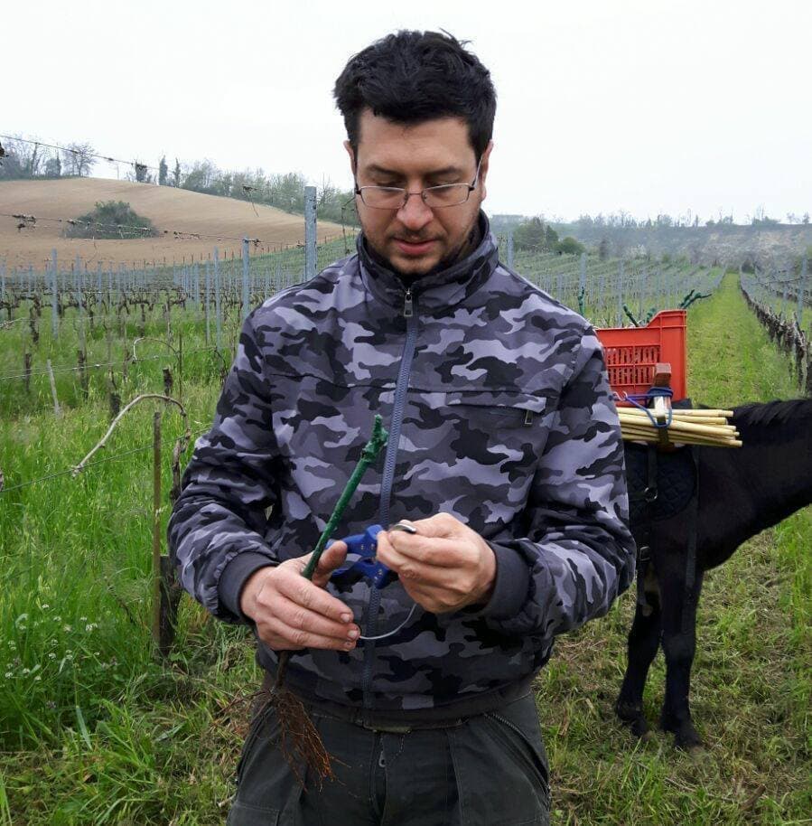 Koi di Fravio Restani