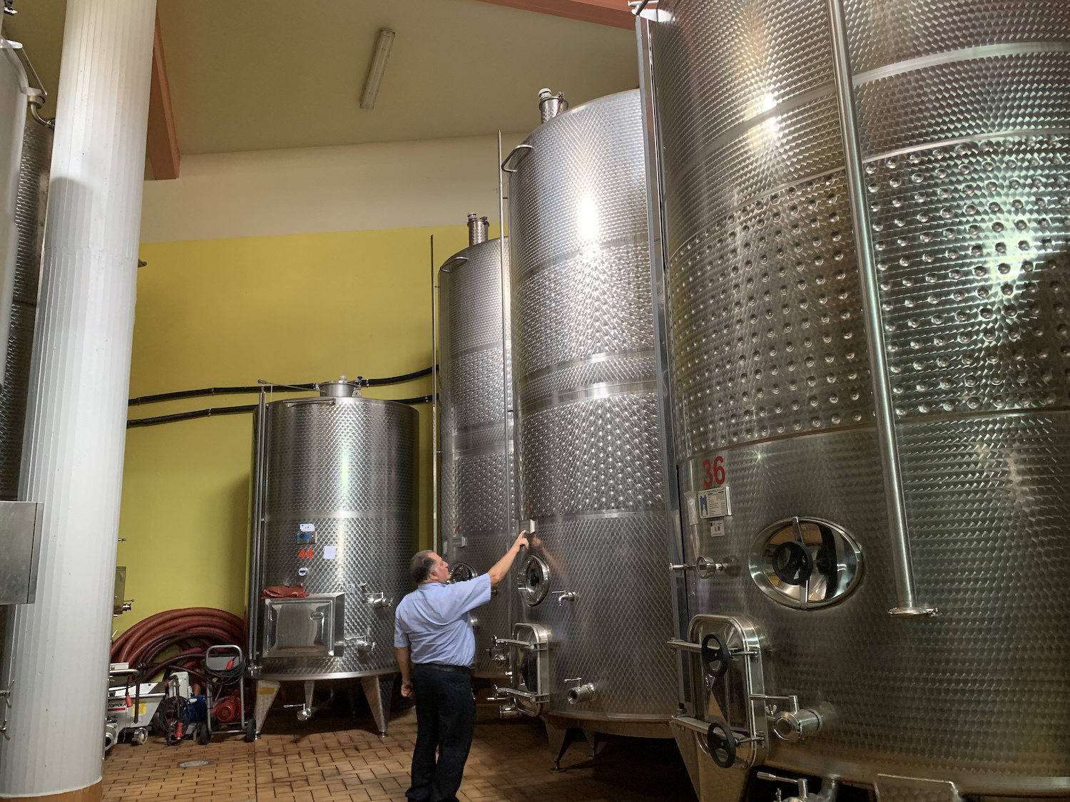 Salvatore Molettieri