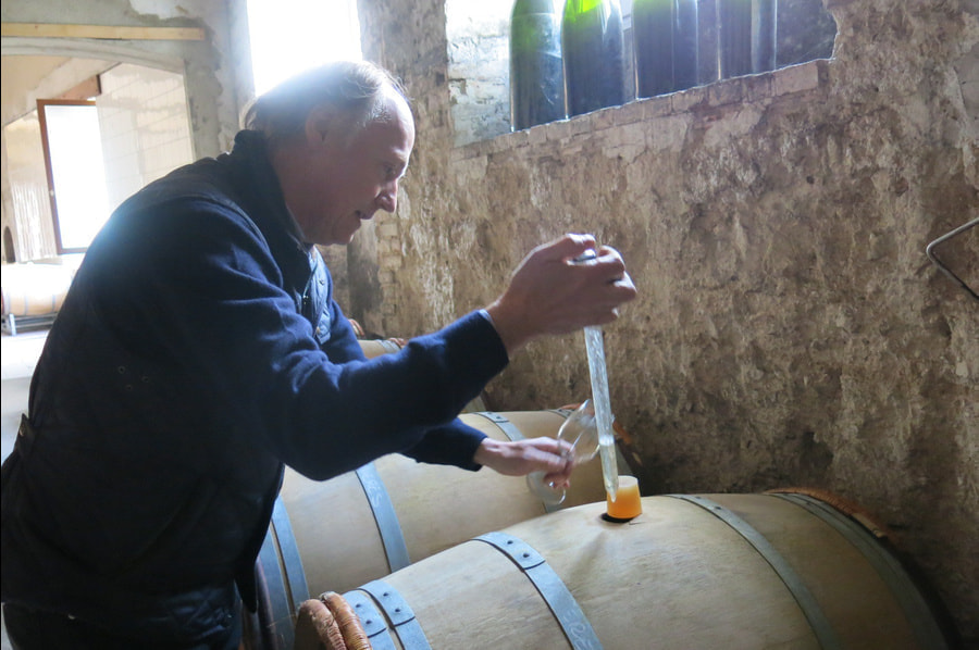 エルヴェ・ジェスタン