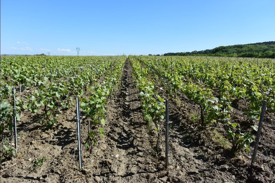 ジェローム・プレヴォー