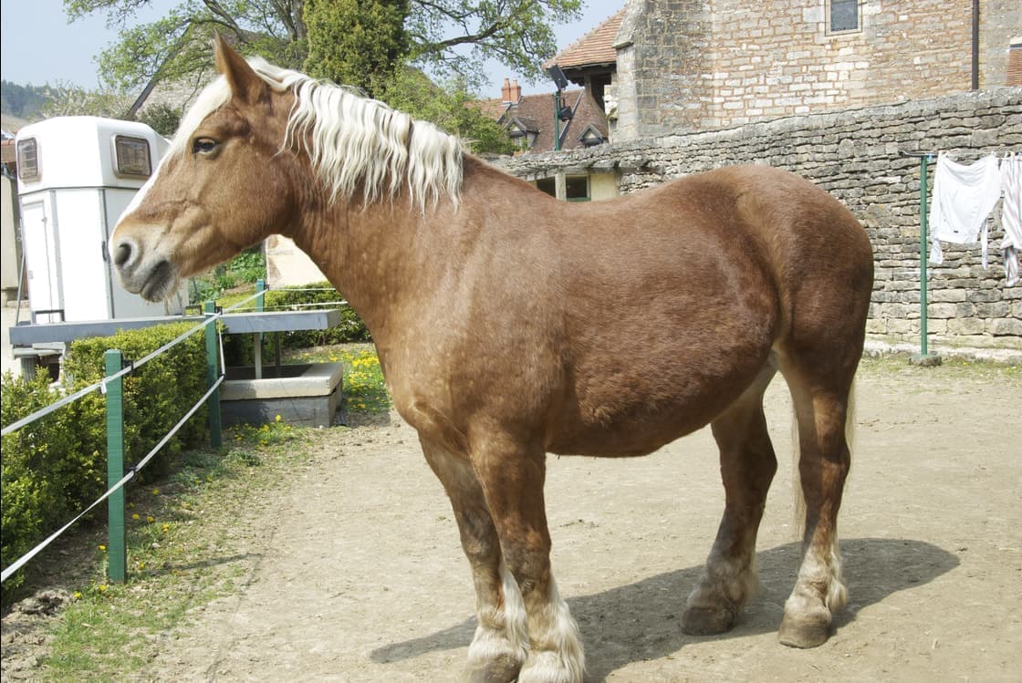 クロード・デュガ