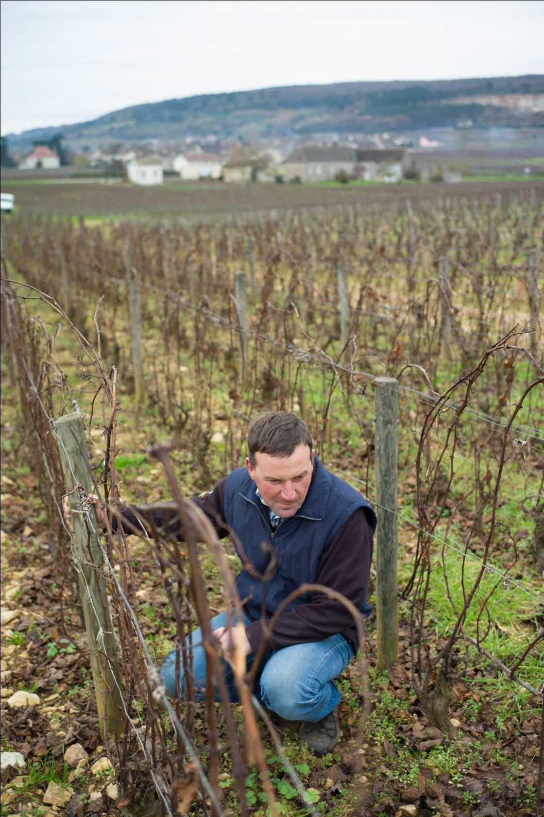 ドメーヌ・ユベール・ラミー