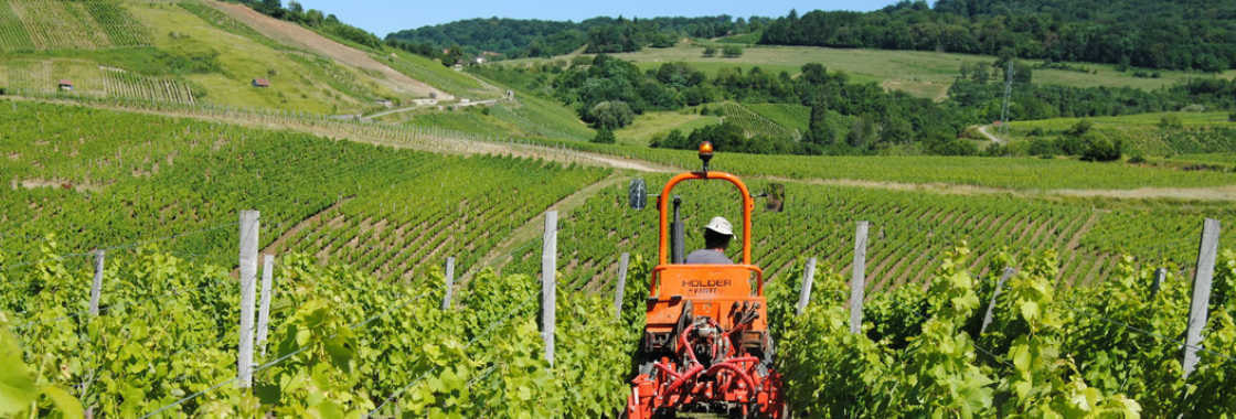 ドメーヌ・リジエ