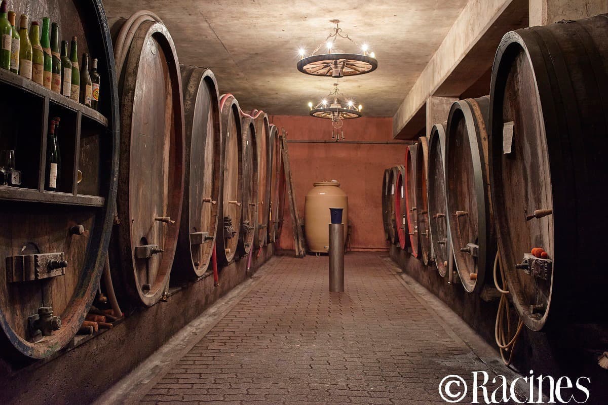 ピエール・フリック