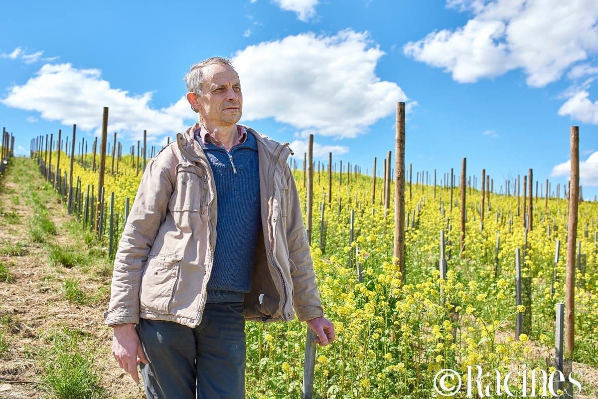 ピエール・フリック