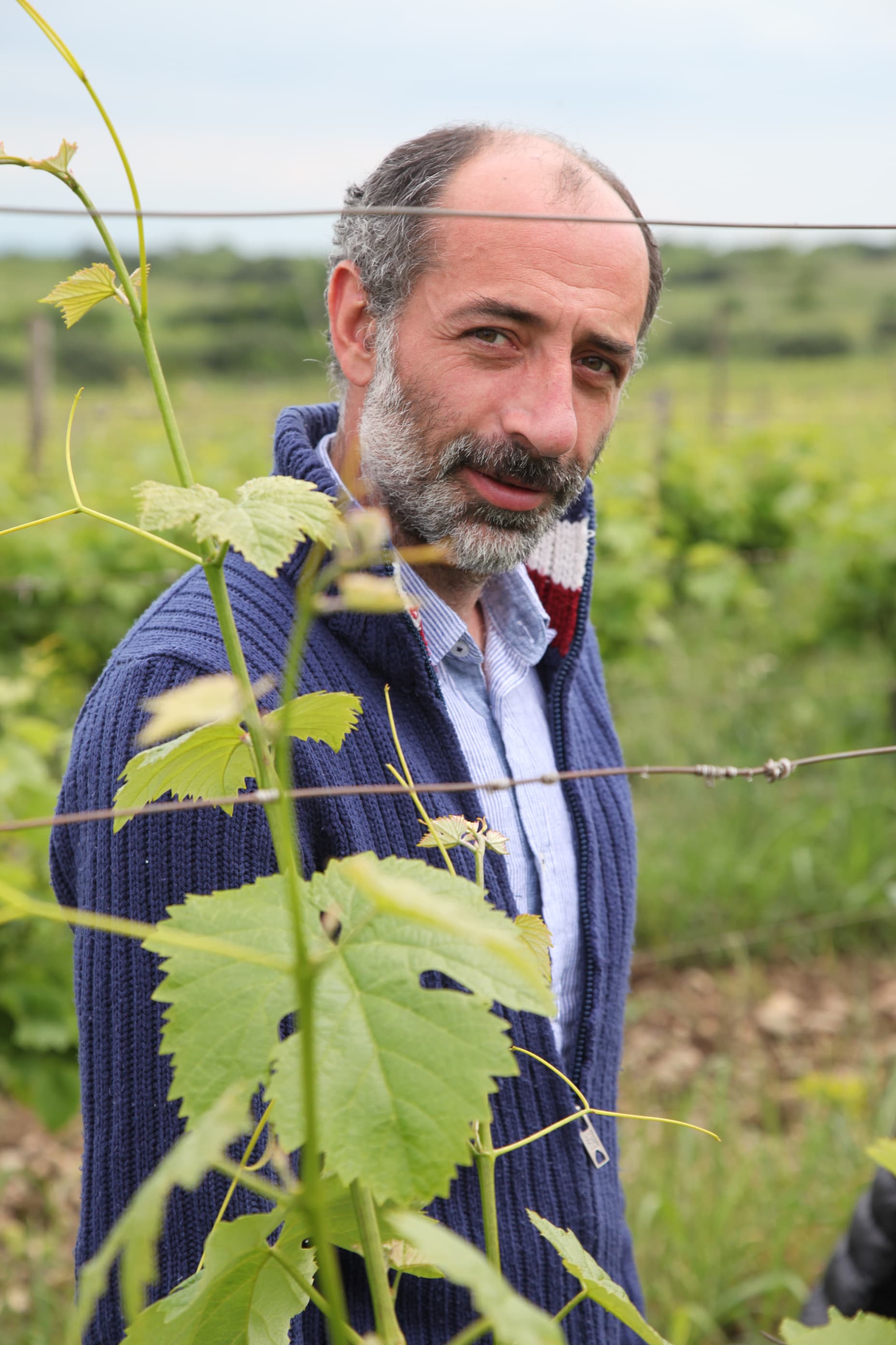 ニコロズ・アンターゼ