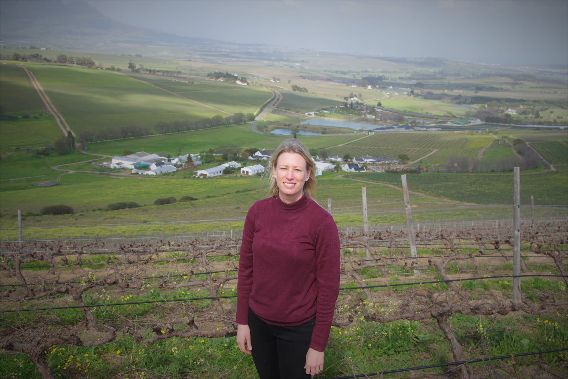 ホガン・ワインズ