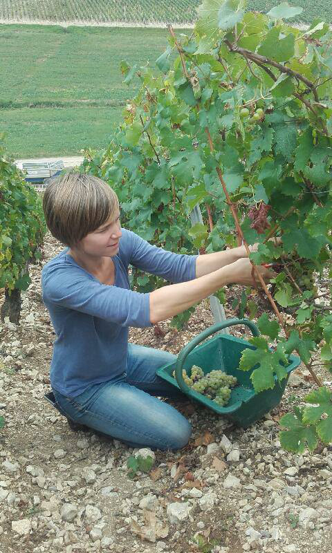 アラン・マティス2