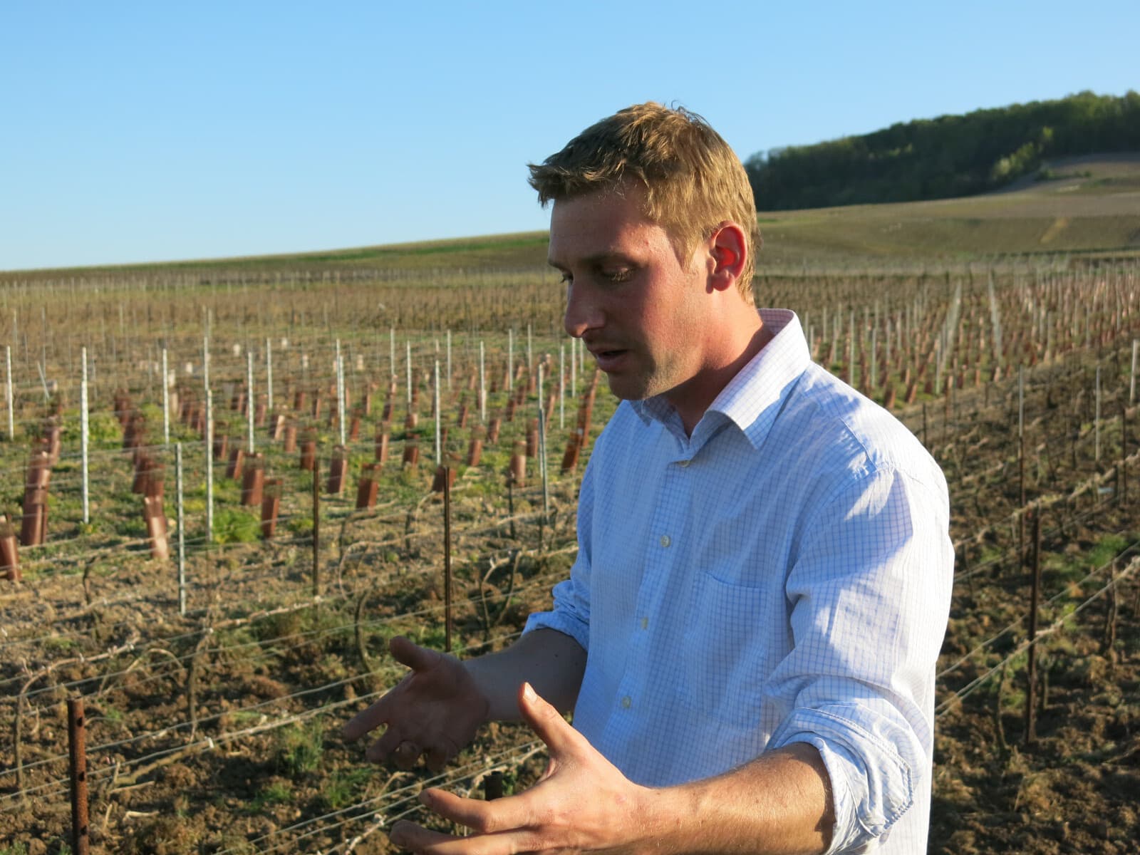 ラエルト・フレール