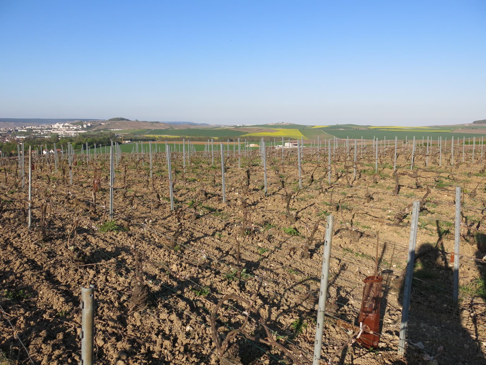 ラエルト・フレール