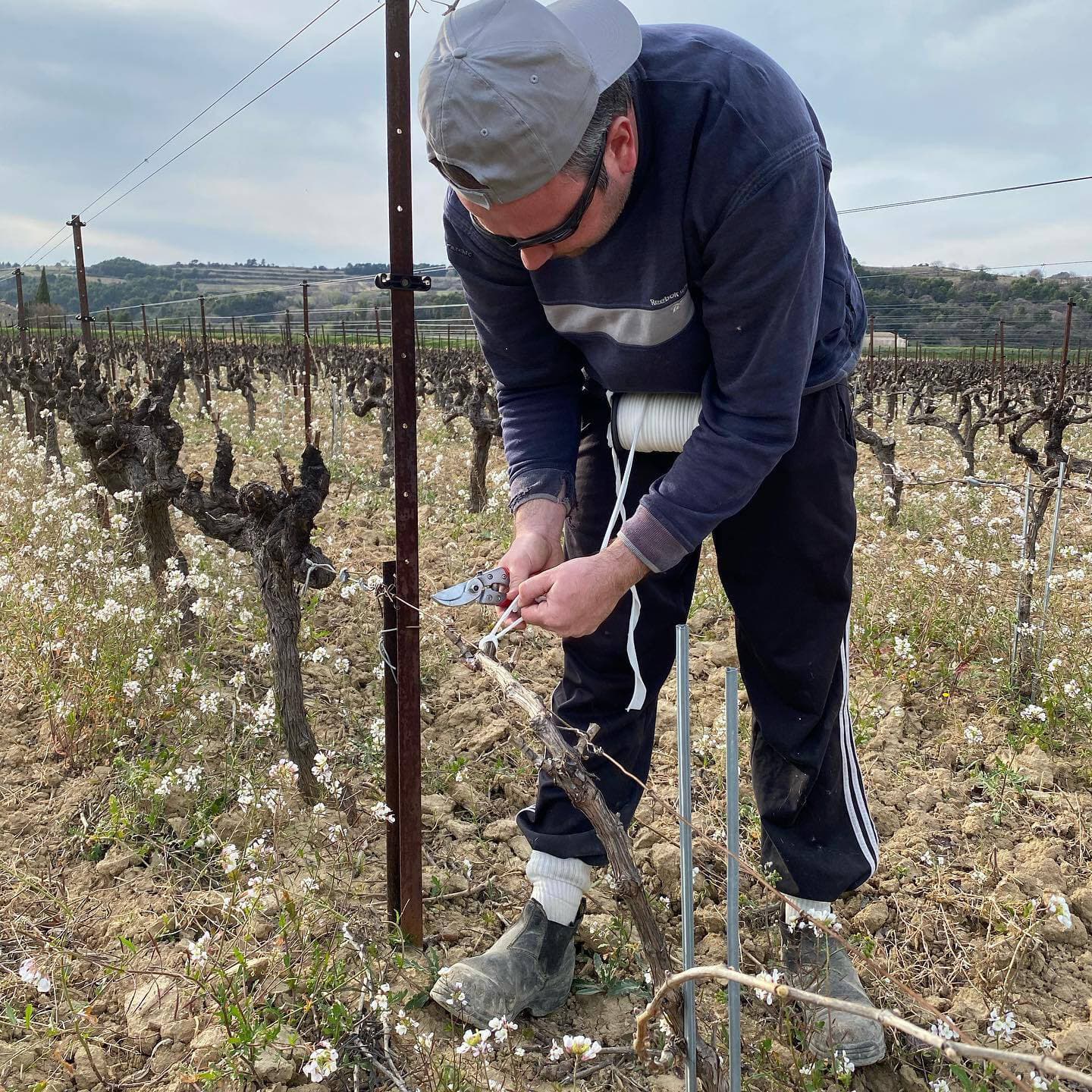 メゾン・プラントヴァン