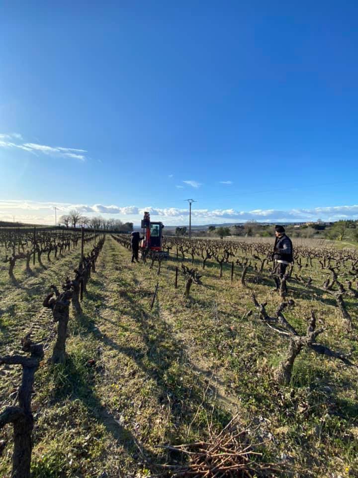 メゾン・プラントヴァン