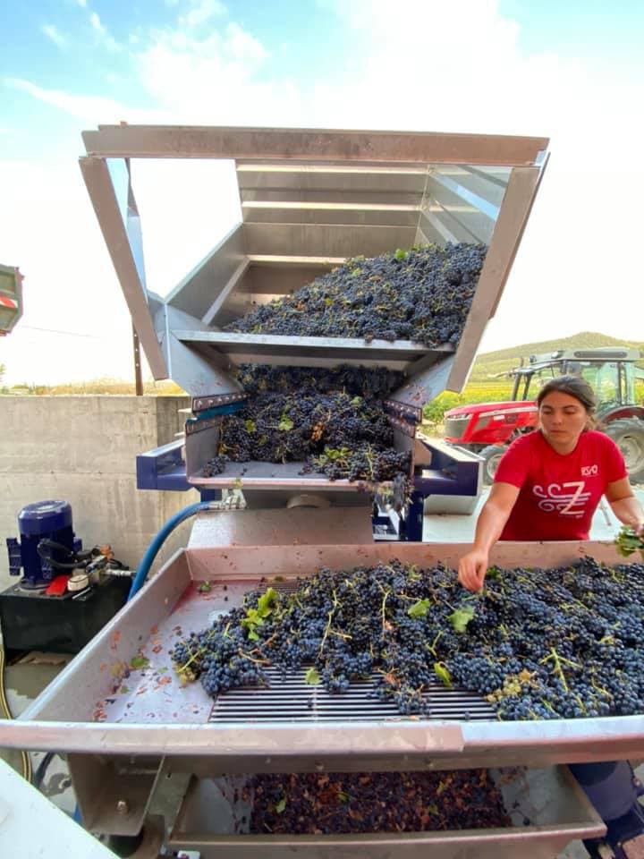 メゾン・プラントヴァン