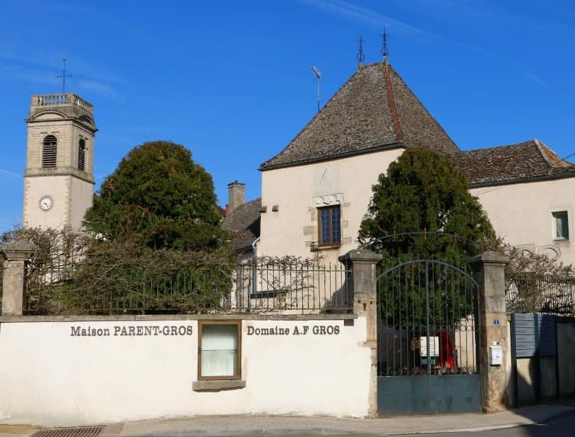 Domaine Mathias Parent Gros