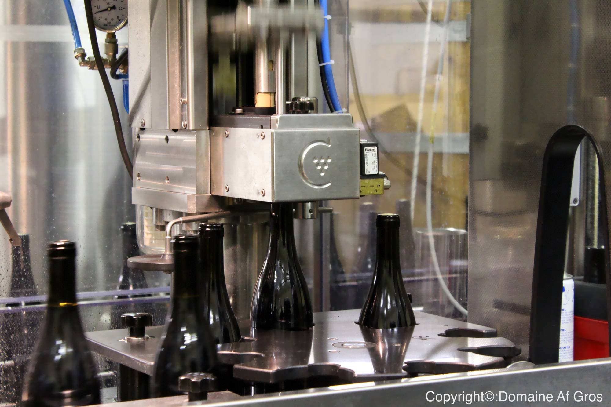 Domaine Mathias Parent Gros