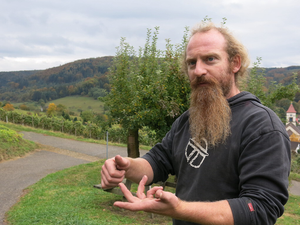 Weingut Enderle & Moll