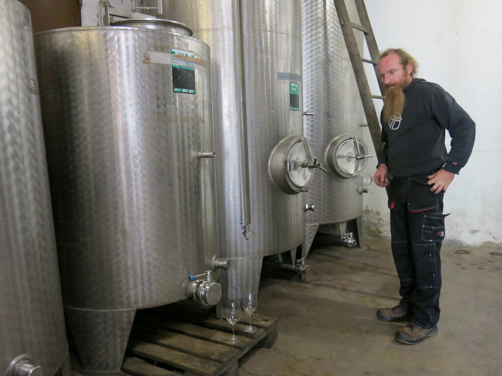 Weingut Enderle & Moll