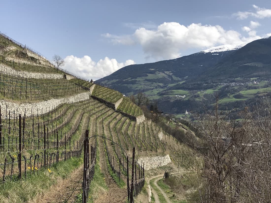 Kuenhof Peter Pliger