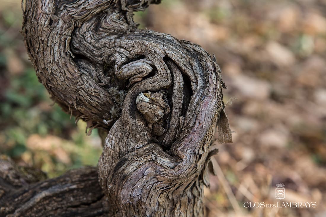 Domaine du Clos des Lambrays