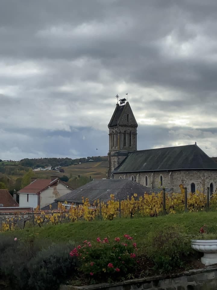 ジョセ・ミッシェル