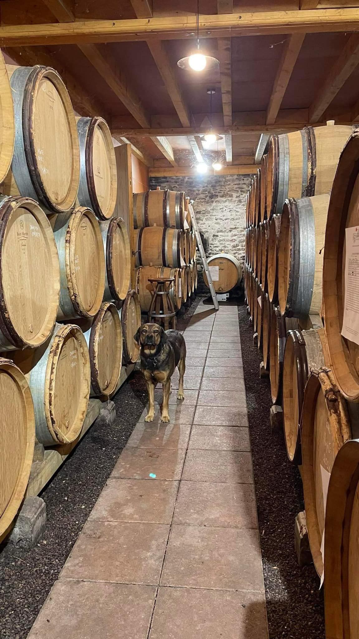 Domaine Robert Denogent