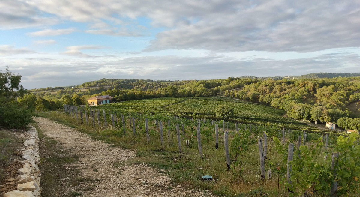 Domaine Laroque d‘Antan