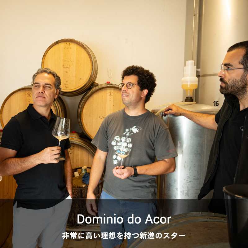 ドミニオ・ド・アソール