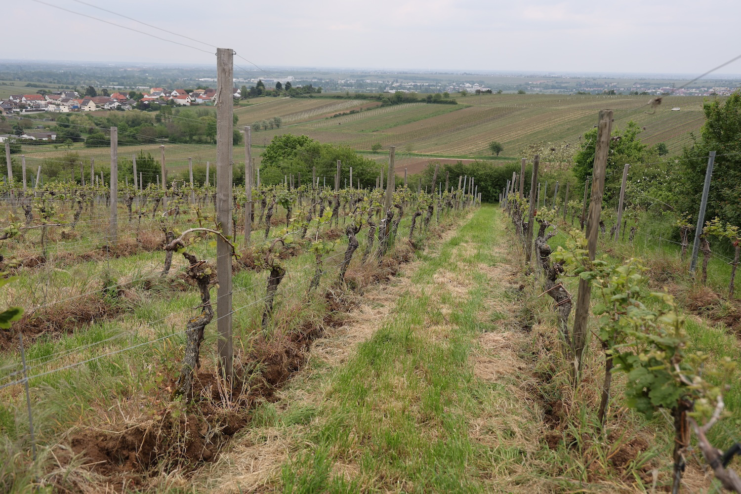  オーディンスタール