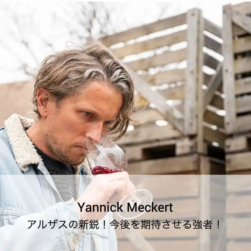 ヤニック・メッカ―ト