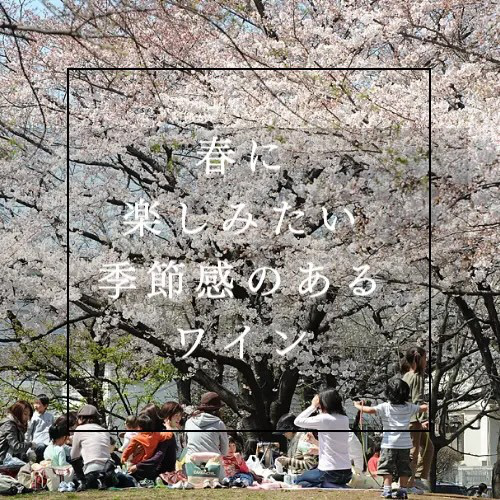 春に楽しみたい季節感のあるおすすめワイン！