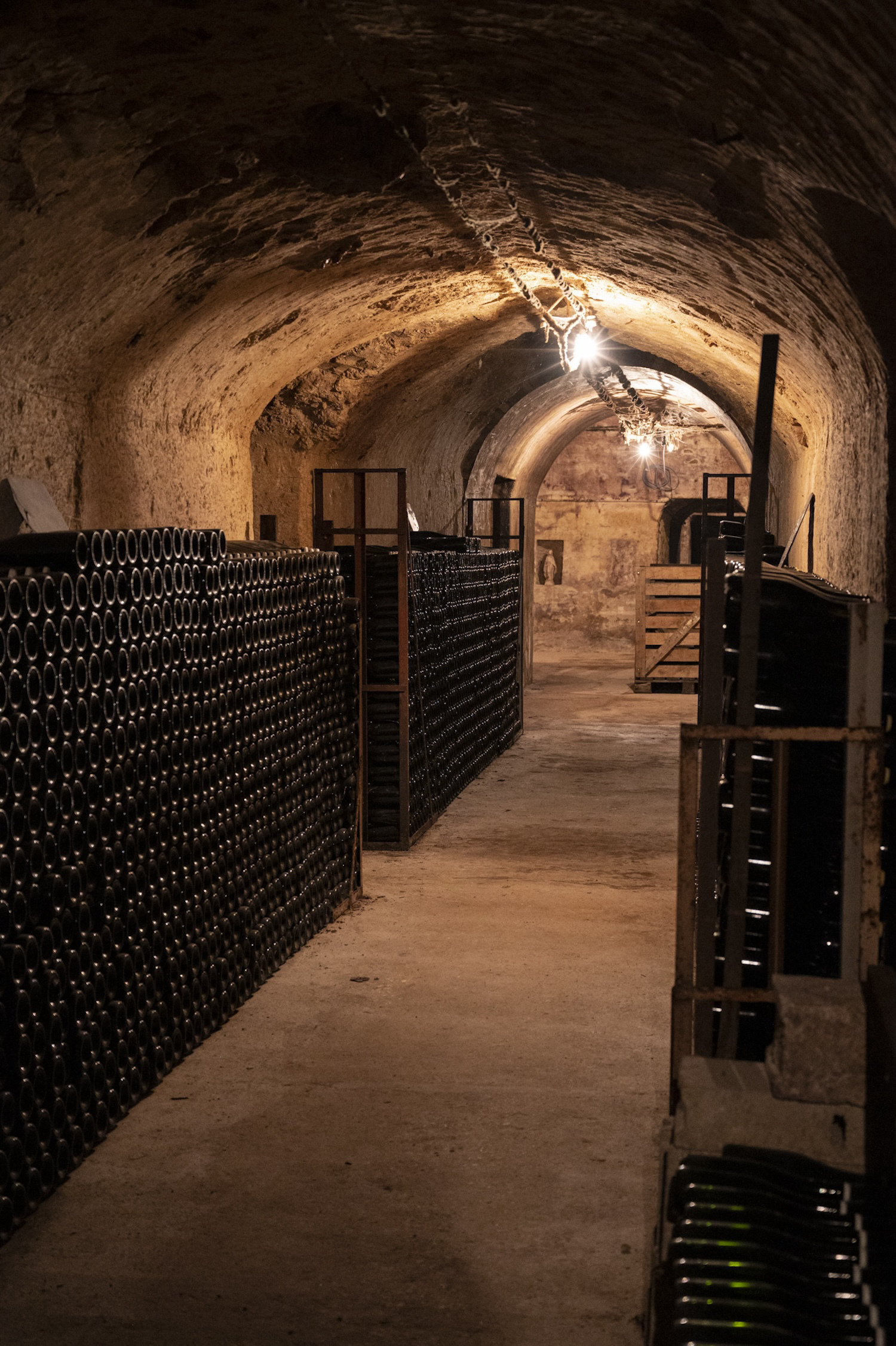 パスカル・マゼ　Pascal Mazet 