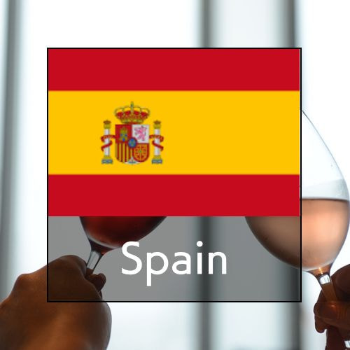 スペインワインセット