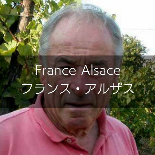 フランス・アルザスのワインセット