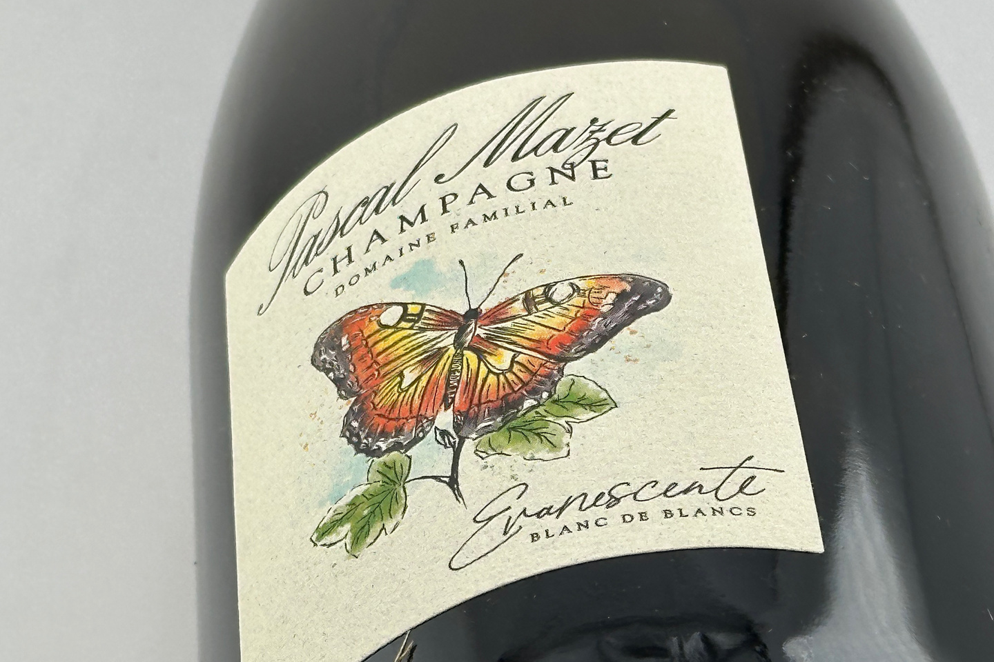 パスカル・マゼ / &nbsp;エヴァネサント・プルミエ・クリュ