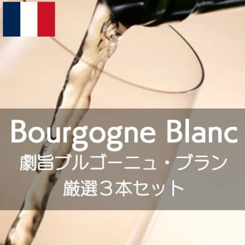 激旨ブルゴーニュ・ブラン3本セット！