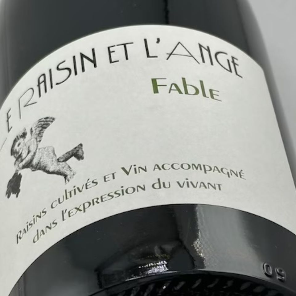 ジル・アゾーニ / ル・レザン・エ・ランジュ・ファーブル [2023]