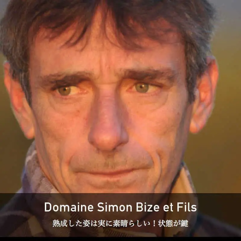 ドメーヌ・シモン・ビーズ
