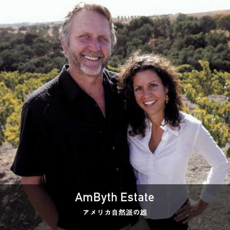  アンビス・エステイト