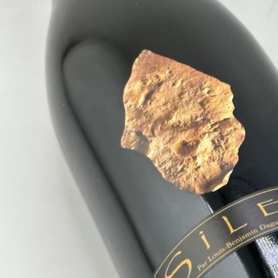 ディディエ・ダグノー / プイィ・フュメ・シレックス [2022]