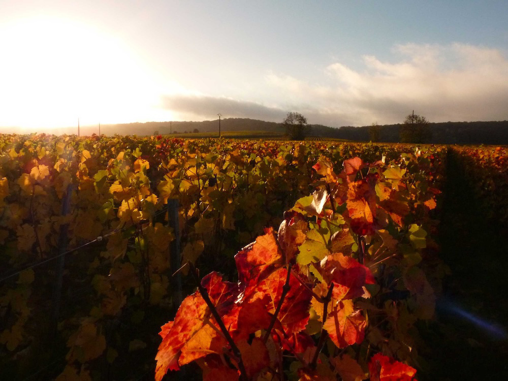 ユレ・フレール