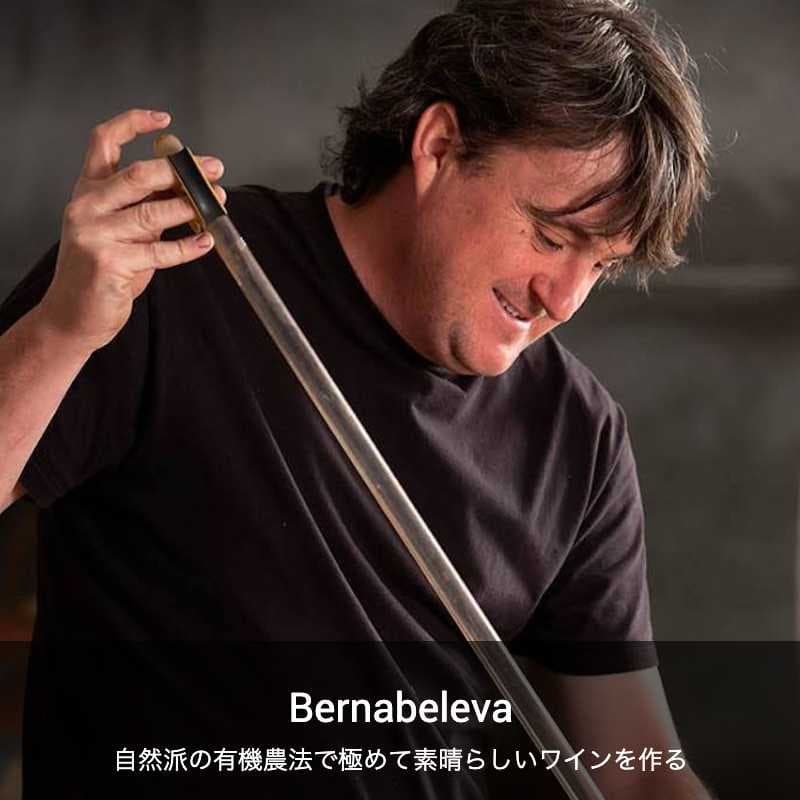 ベルナべレヴァ