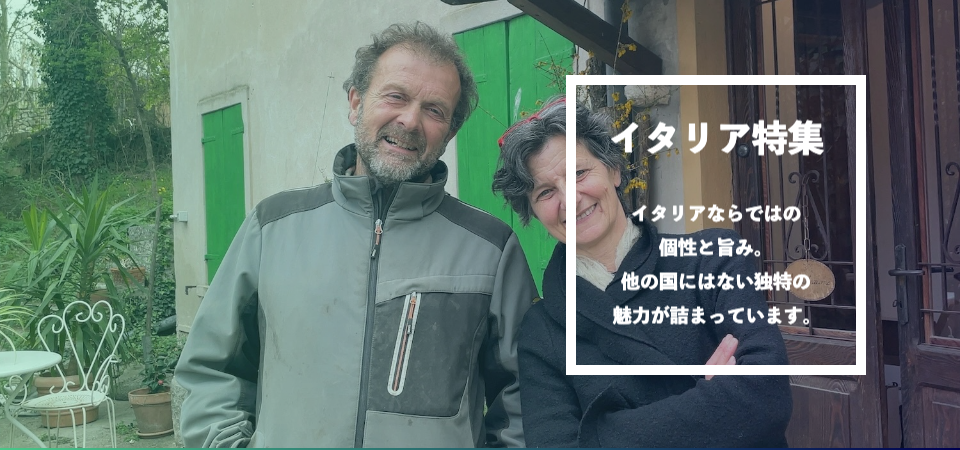 南アフリカ特集！