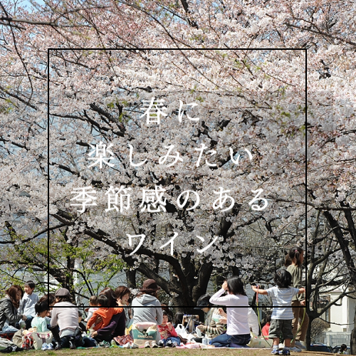 春に楽しみたい季節感のあるワイン！
